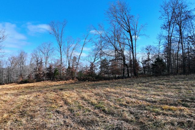 0 Johnnie Rd, Indian Mound, TN 37079