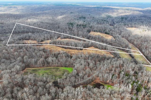 0 Johnnie Rd, Indian Mound, TN 37079