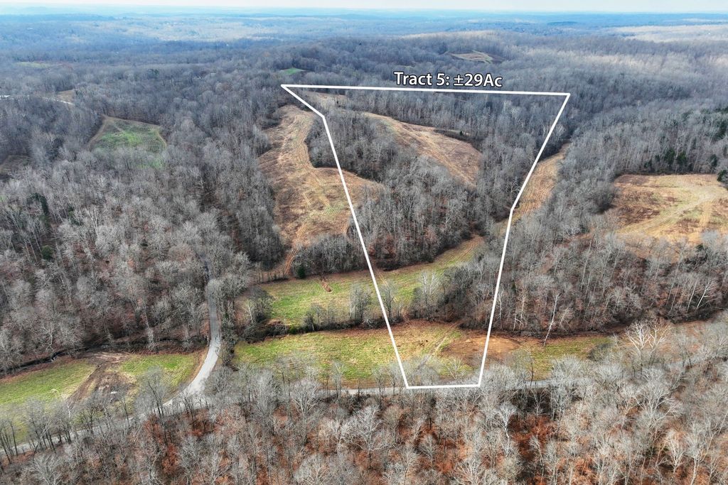 0 Johnnie Rd, Indian Mound, TN 37079