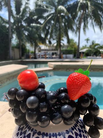 2626 Barcelona Drive, Fort Lauderdale, FL 33301