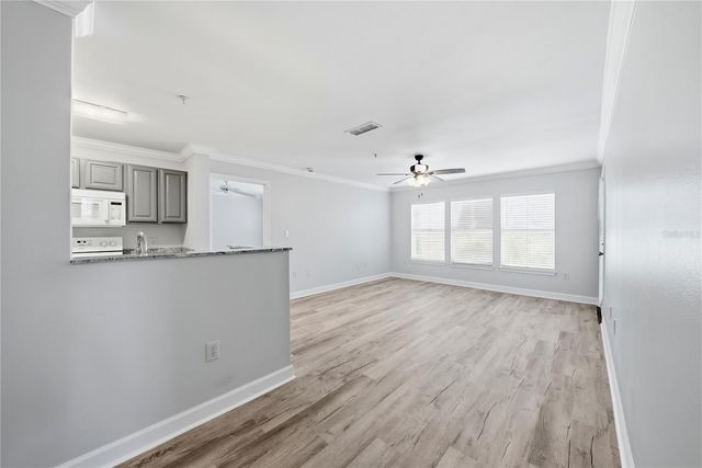 18311 BRIDLE CLUB DRIVE, Tampa, FL 33647