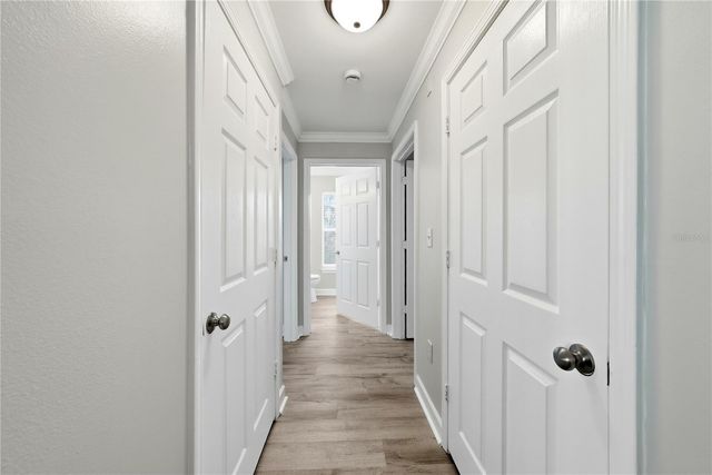 18311 BRIDLE CLUB DRIVE, Tampa, FL 33647