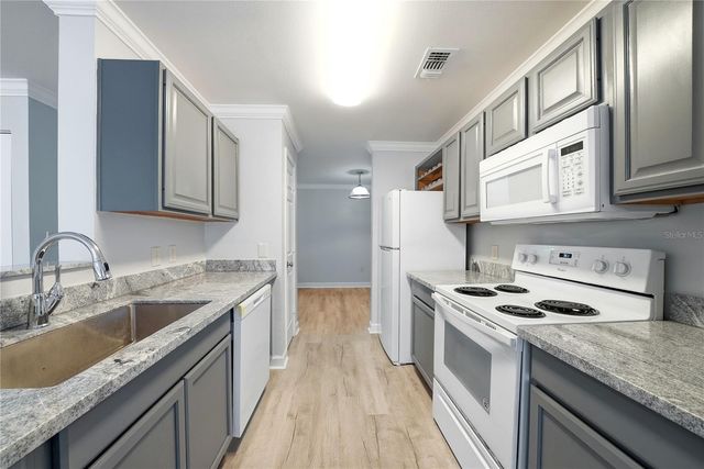 18311 BRIDLE CLUB DRIVE, Tampa, FL 33647