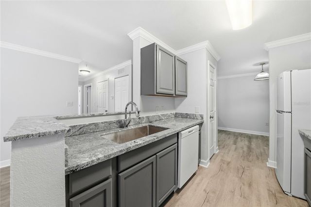 18311 BRIDLE CLUB DRIVE, Tampa, FL 33647