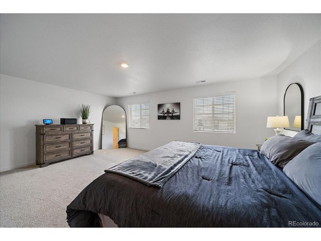 17911 Dandy Brush Ln, Parker, CO 80134