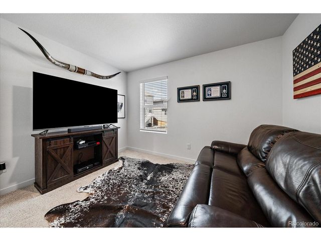 17911 Dandy Brush Ln, Parker, CO 80134
