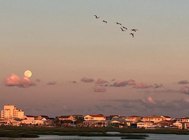 3111 First Ave. S, Murrells Inlet, SC 29576