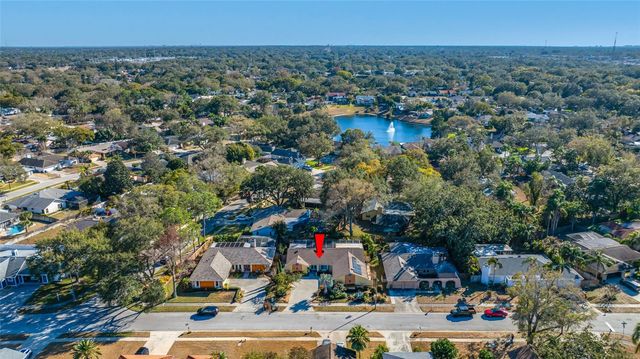 2970 TANGERINE TERRACE, Palm Harbor, FL 34684