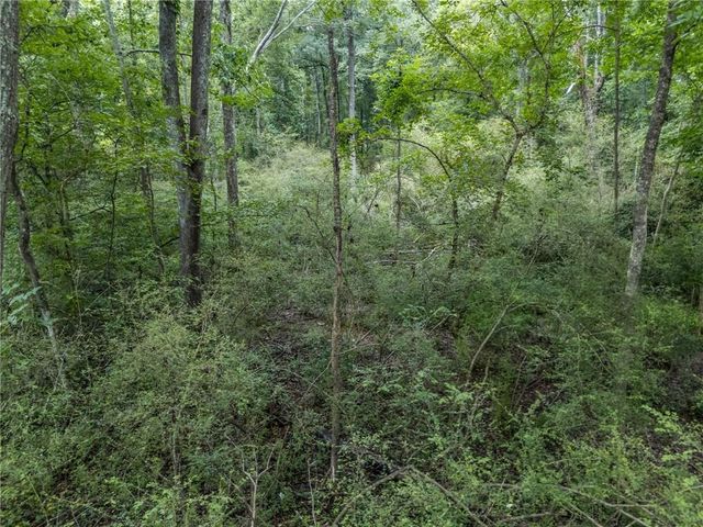 103 E Freeman Street, Newnan, GA 30263