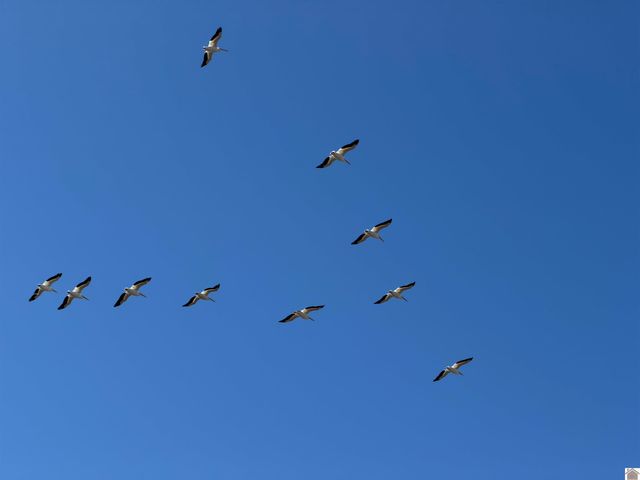 141 Beechwood Dr, Cadiz, KY 42211