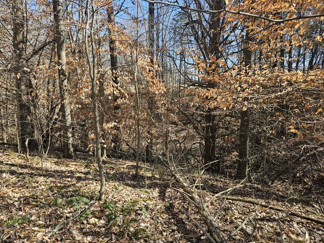 0 Hwy 70, S, Woodbury, TN 37190