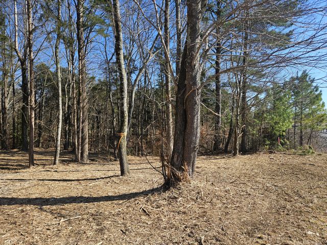 0 Hwy 70, S, Woodbury, TN 37190