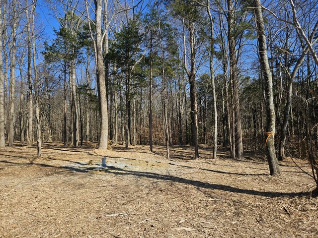 0 Hwy 70, S, Woodbury, TN 37190