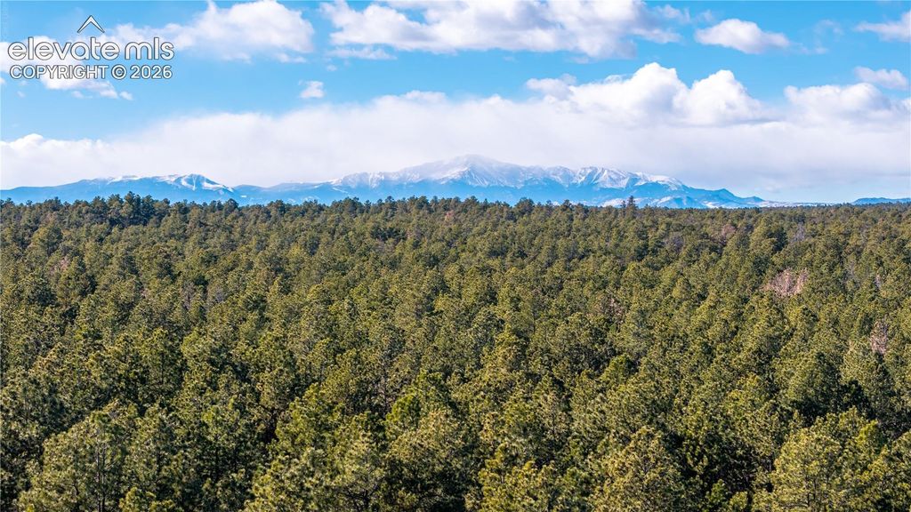 10775 Hardy Road, Colorado Springs, CO 80908 — photo 2