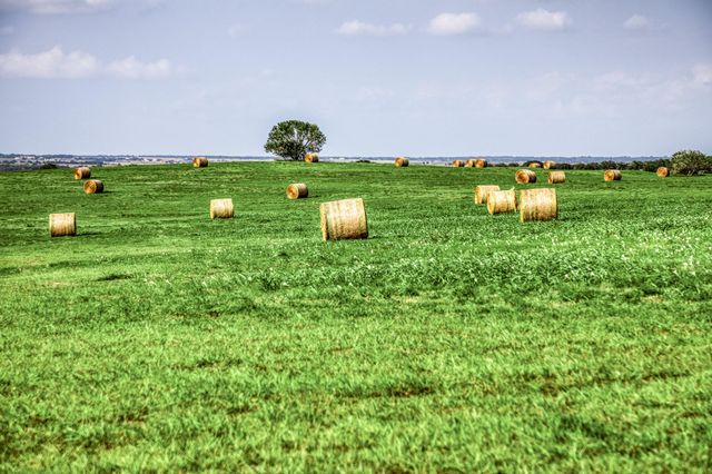 3575 County Road 271, Moulton, TX 77975