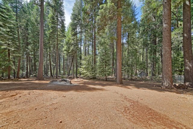 2280 Dogwood Ln, Pollock Pines, CA 95726