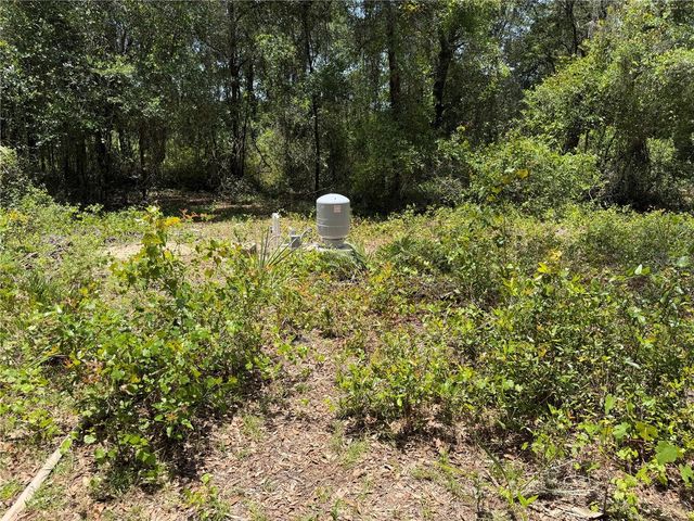 1988 SE 161ST AVENUE, Ocklawaha, FL 32179