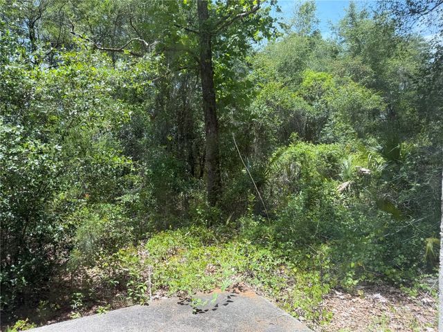 1988 SE 161ST AVENUE, Ocklawaha, FL 32179