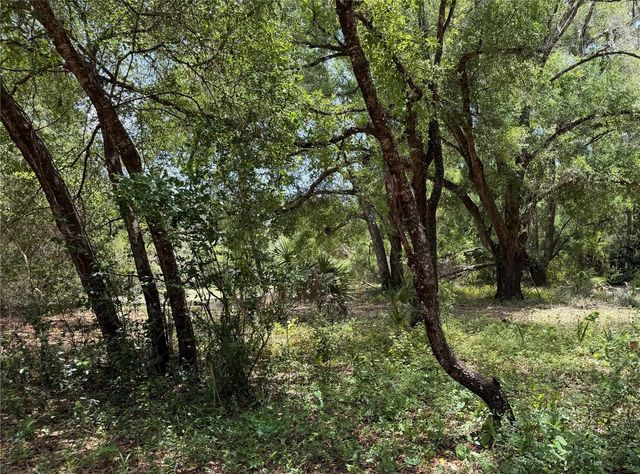 1988 SE 161ST AVENUE, Ocklawaha, FL 32179