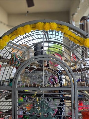 4102 SW 14th PL, Cape Coral, FL 33914