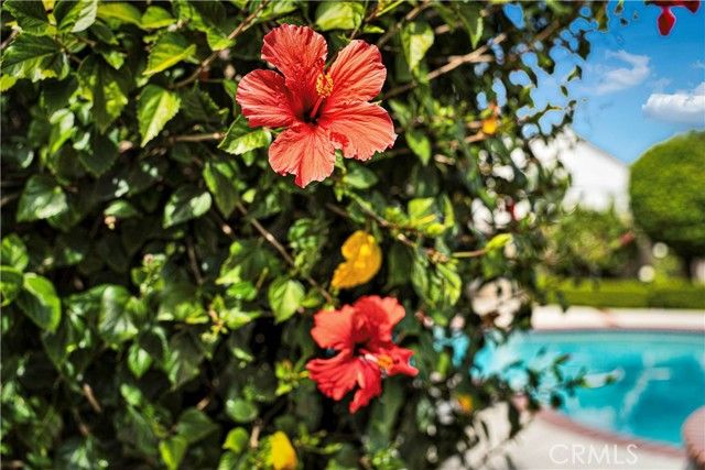 9243 Balfour, Pico Rivera, CA 90660