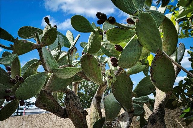 9243 Balfour, Pico Rivera, CA 90660