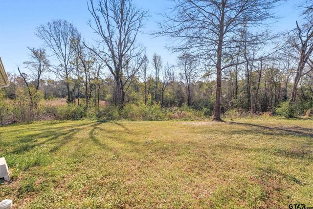 19810 FM 345, Arp, TX 75750