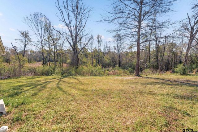 19810 FM 345, Arp, TX 75750