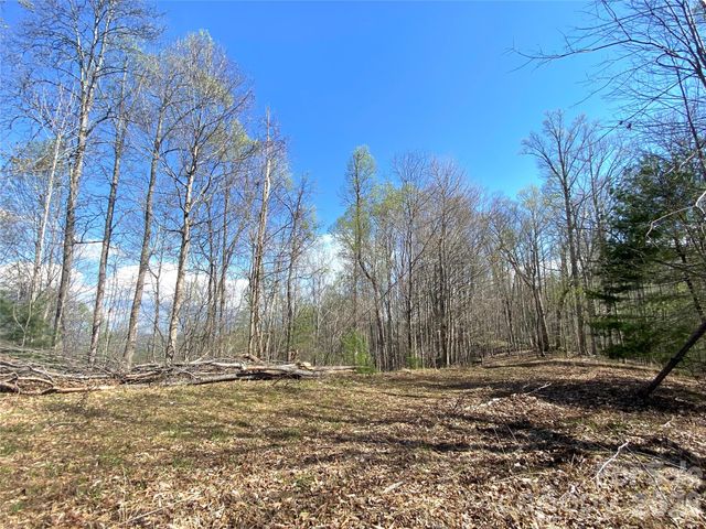 00 Scenic View Drive 1 & 2, Green Mountain, NC 28740