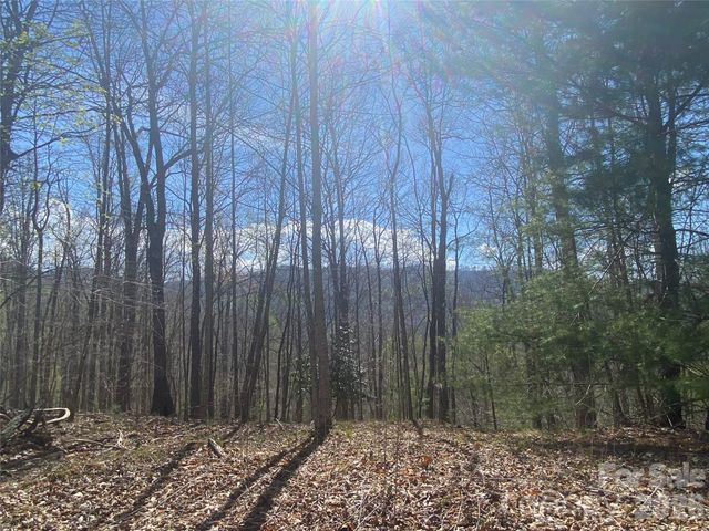 00 Scenic View Drive 1 & 2, Green Mountain, NC 28740