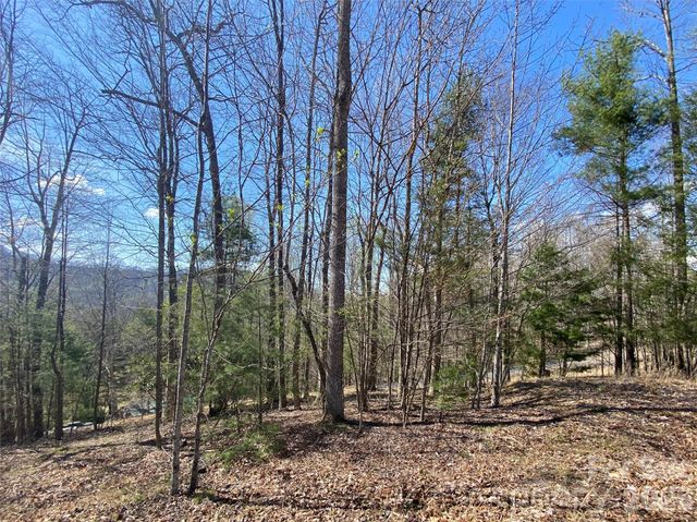 00 Scenic View Drive 1 & 2, Green Mountain, NC 28740