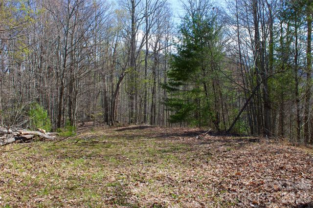 00 Scenic View Drive 1 & 2, Green Mountain, NC 28740
