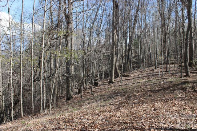 00 Scenic View Drive 1 & 2, Green Mountain, NC 28740