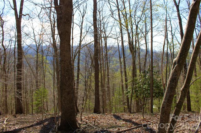 00 Scenic View Drive 1 & 2, Green Mountain, NC 28740
