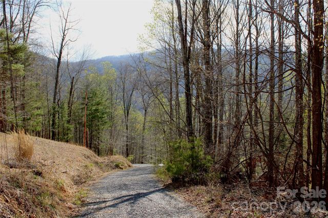 00 Scenic View Drive 1 & 2, Green Mountain, NC 28740