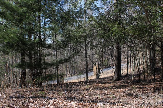 00 Scenic View Drive 1 & 2, Green Mountain, NC 28740