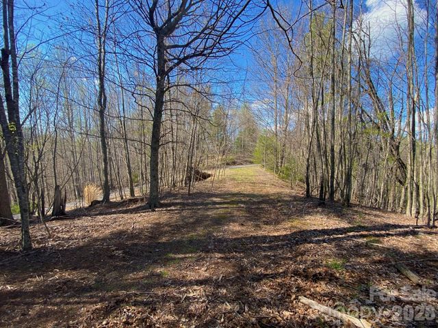 00 Scenic View Drive 1 & 2, Green Mountain, NC 28740