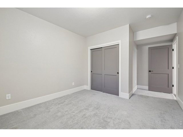 6278 Foundry Ct, Timnath, CO 80547