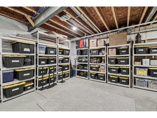 6278 Foundry Ct, Timnath, CO 80547