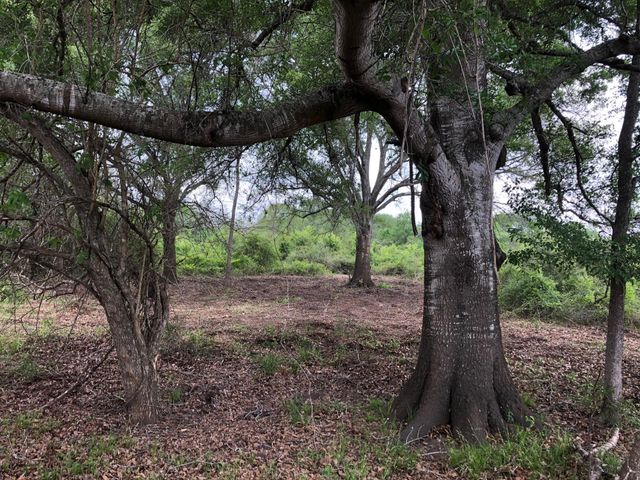 7462 County Road 284, Edna, TX 77957