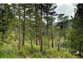 6875 Lynx Lair Rd, Evergreen, CO 80439