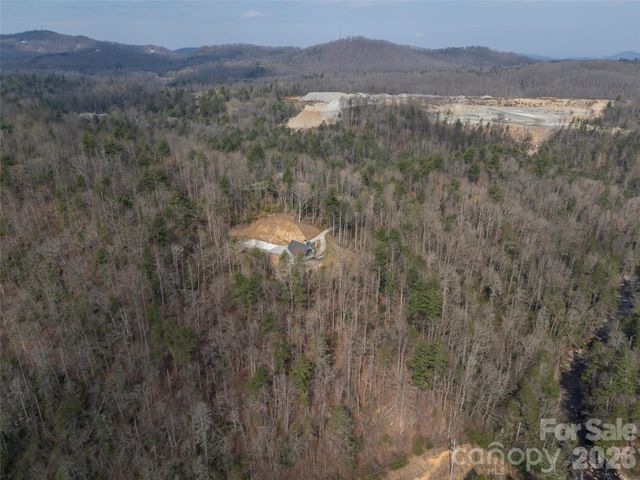 666 Never Blue Road, Flat Rock, NC 28731