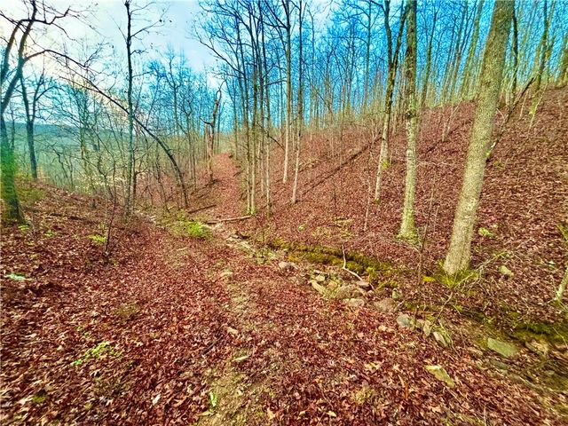 7342 Madison, Kingston, AR 72742