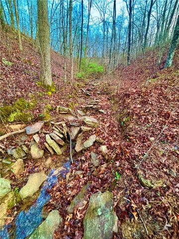 7342 Madison, Kingston, AR 72742