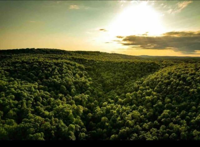 7342 Madison, Kingston, AR 72742