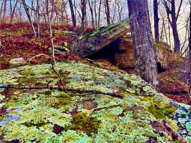 7342 Madison, Kingston, AR 72742