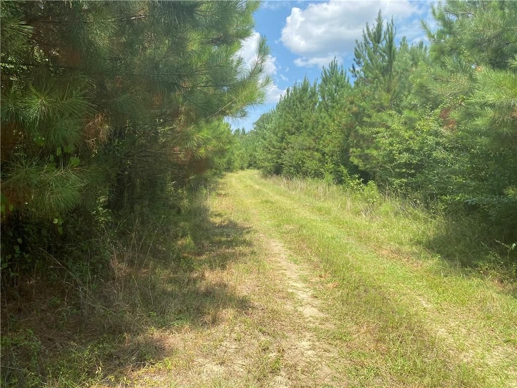0 Salco Road, Axis, AL 36505 — photo 2