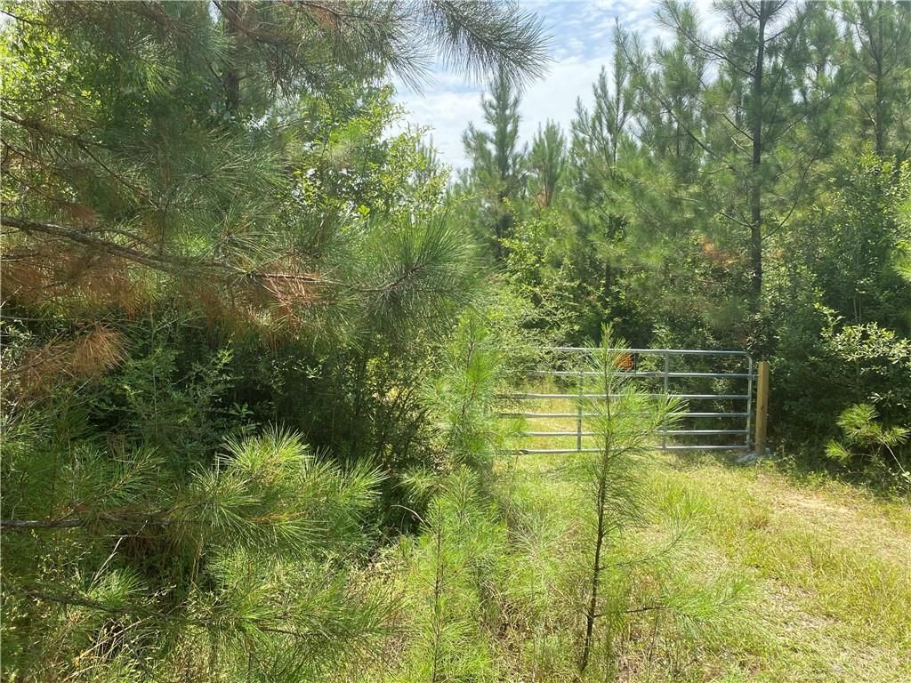 0 Salco Road, Axis, AL 36505 — photo 3