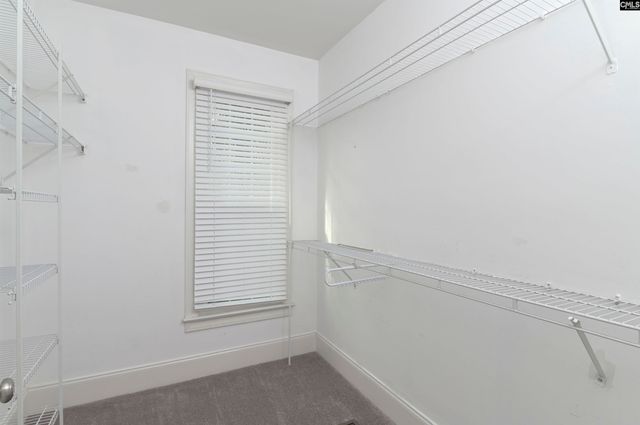 205 Parish Walk, Elgin, SC 29045