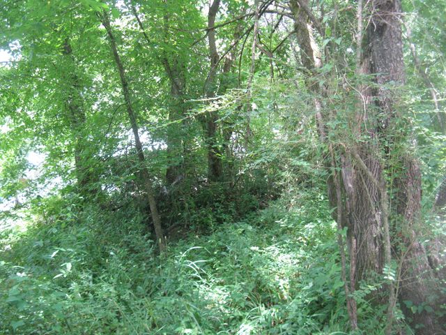 0 Ellison Street Street, Corbin, KY 40701